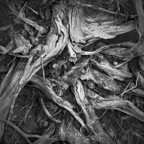 Wood_and_stone