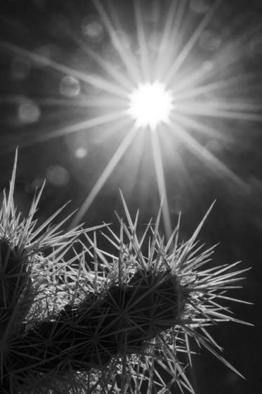 Rays_ii