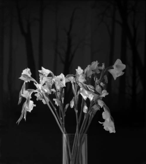 Untitled_3
