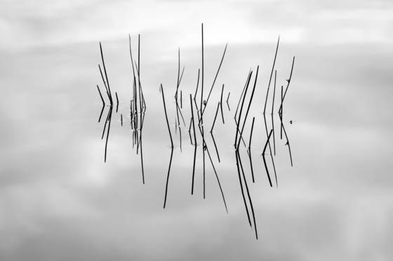 The_inverse_side_of_spring