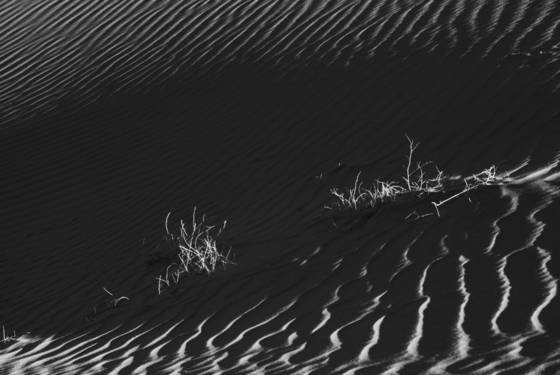 Dunes