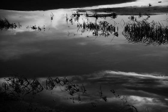 Reflection