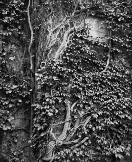 Hidden_window