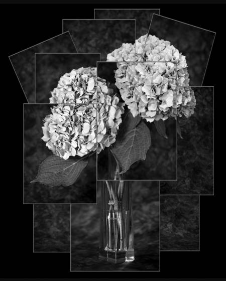 Hydrangea_bouquet