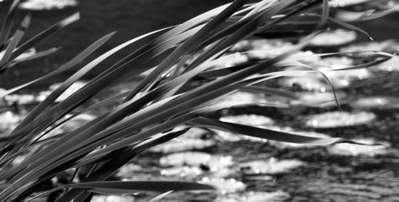 Slight_breeze