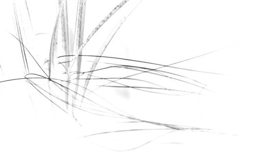 Gentle_flow