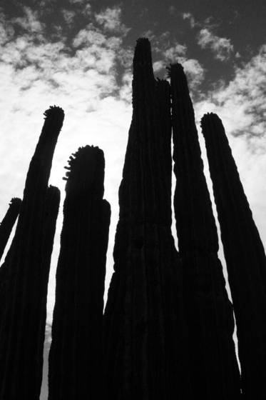 Reaching