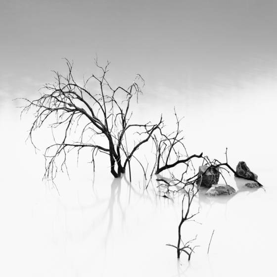 Sparse
