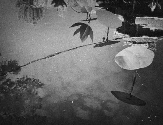 Mekong_delta_arrangement