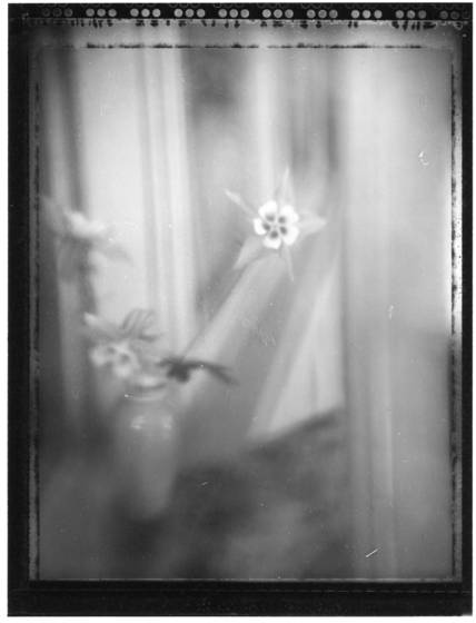Through_columbine