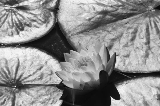 Untitled_2
