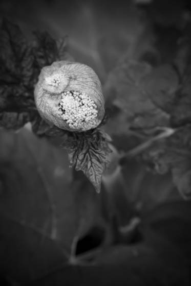 Untitled_10