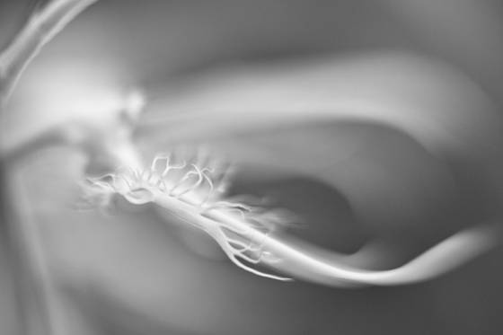 Untitled_2