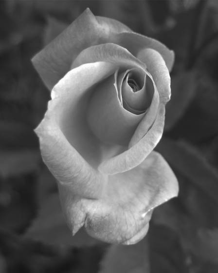 Soul