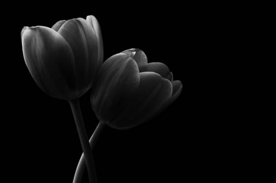 Two_lips