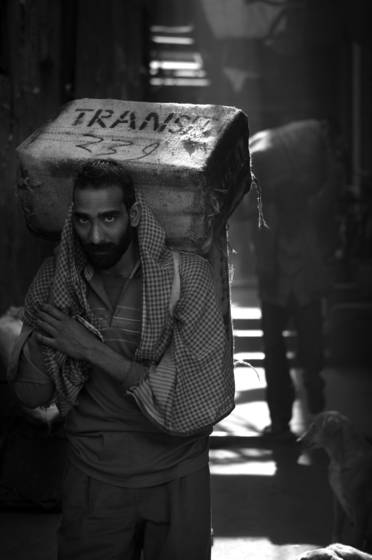 Transit_239