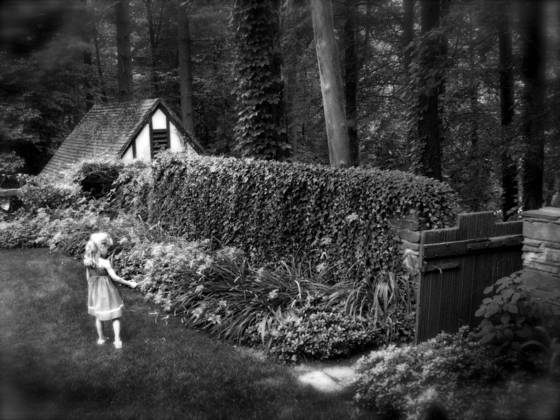 Alice_in_wonderland
