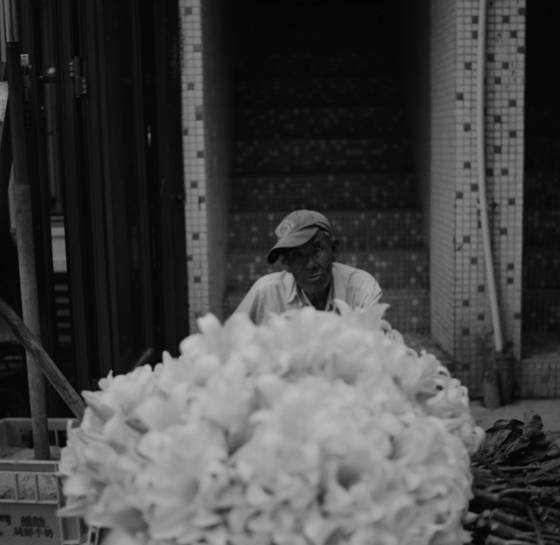 The_last_farmer