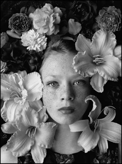 Violet_with_daylilies