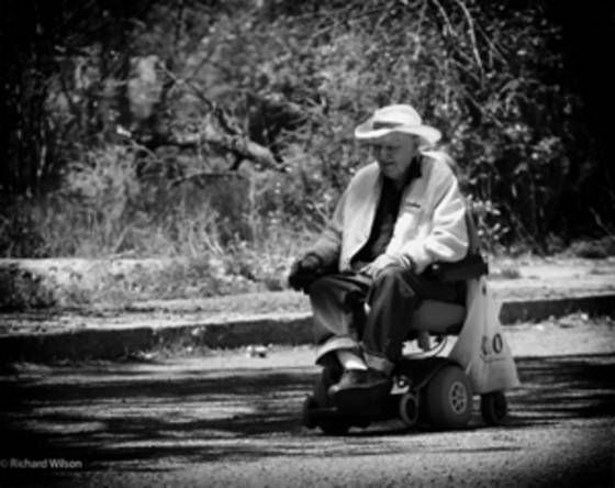 Out_for_an_afternoon_ride