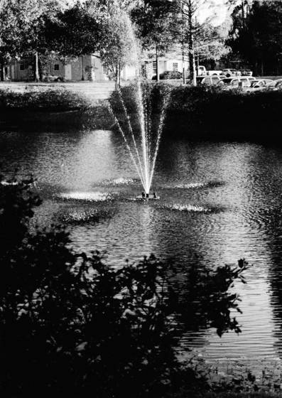 Untitled_2