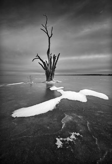 Untitled_6