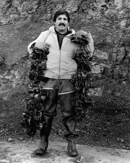 The_oysterman