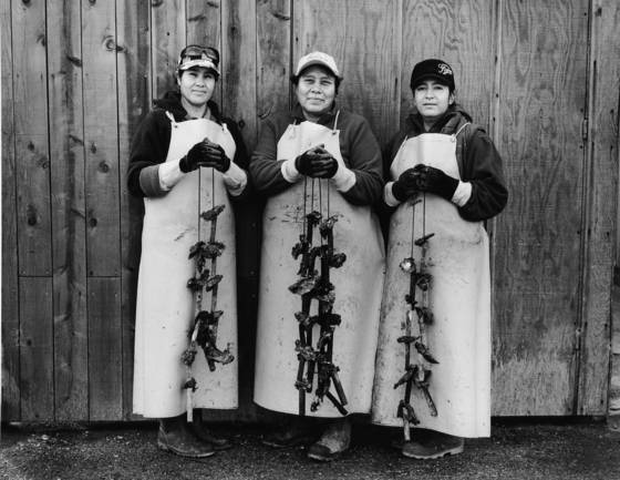 The_three_graces