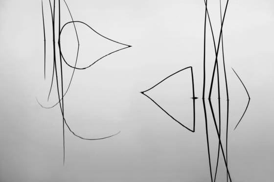 Reeds_1