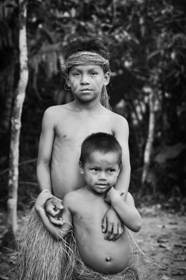 Brothers_of_the_amazon
