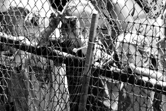 The_fence