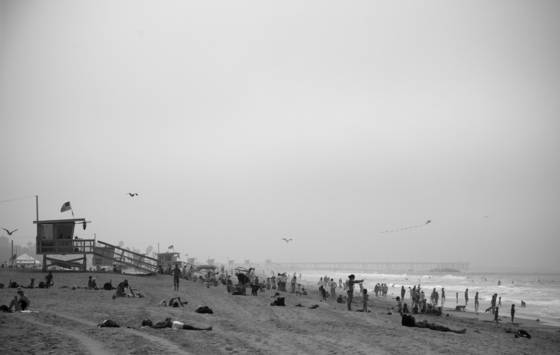 Beach_life