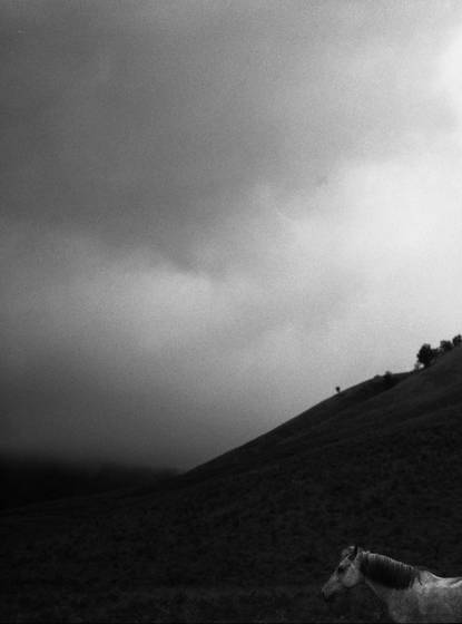 Bromo__1