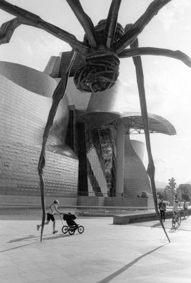 Spider_and_pram
