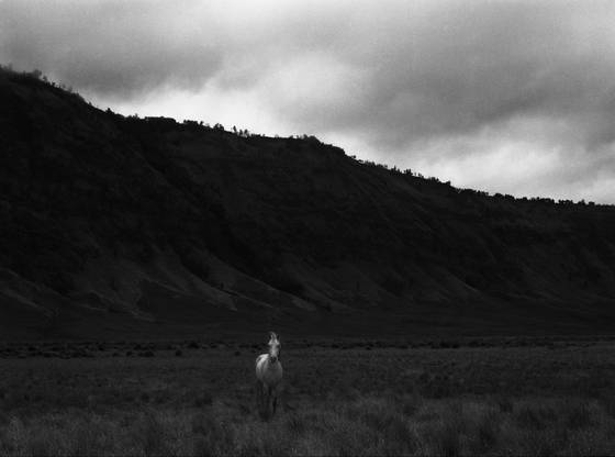 Bromo__2