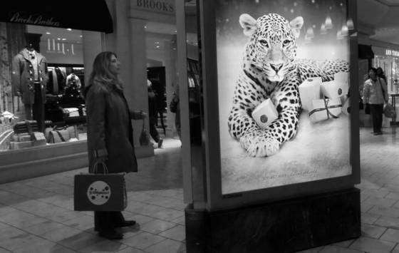 Leopard_woman