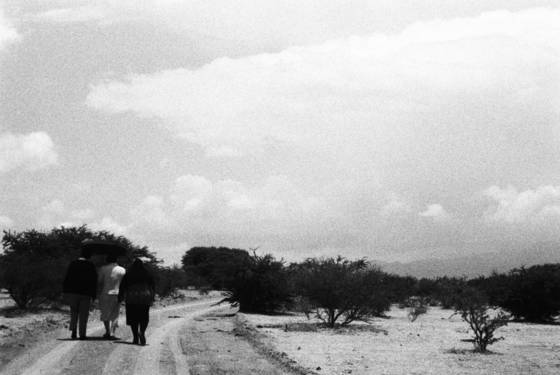 El_camino