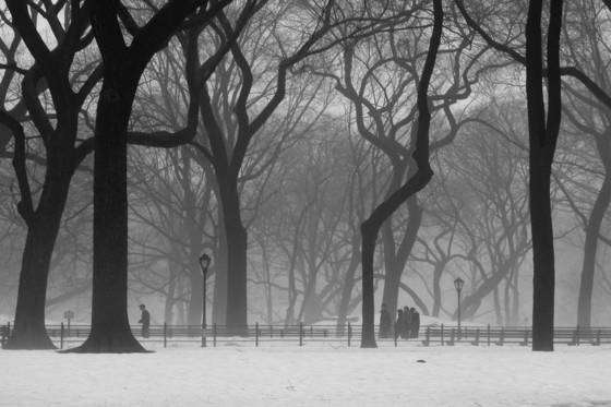 A_central_park_stroll