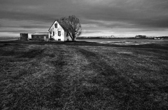 House_and_tree