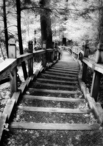 Steps