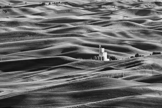 Palouse_contrasts