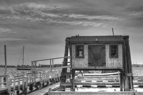 Shed