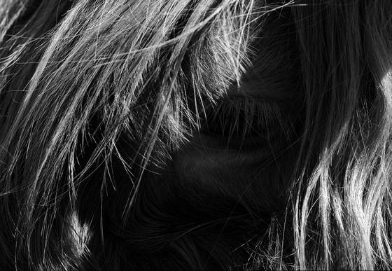 Long_hair_calf