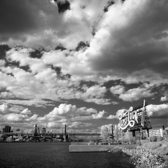 Untitled_3