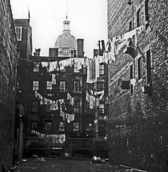 Backyard_in_little_italy