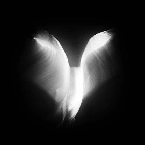 Fragile_and_strong