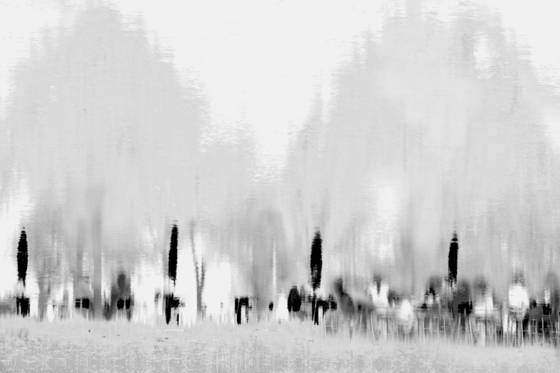 Untitled_13
