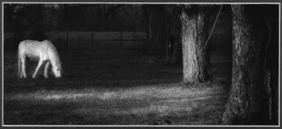 Untitled_14
