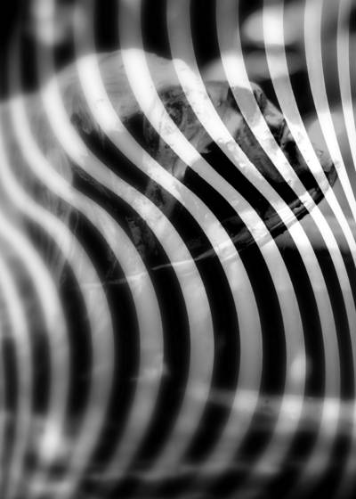 Untitled_1