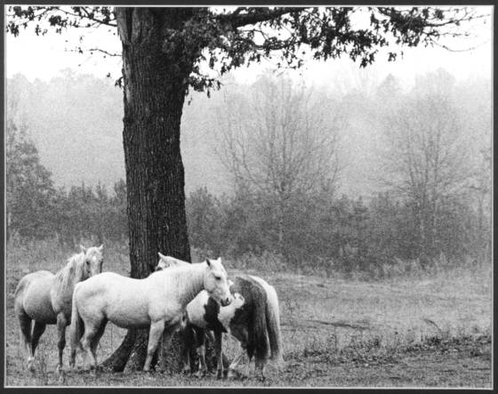 Untitled_6